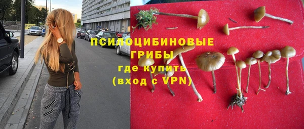 марки lsd Абаза