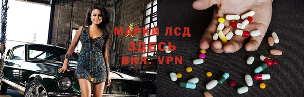 индика Алексеевка