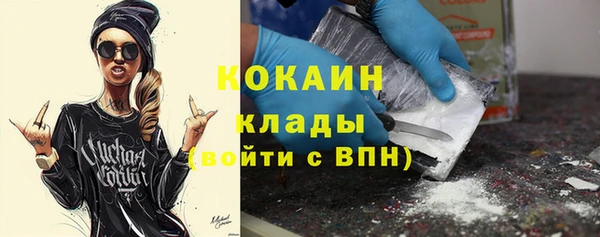 индика Алексеевка
